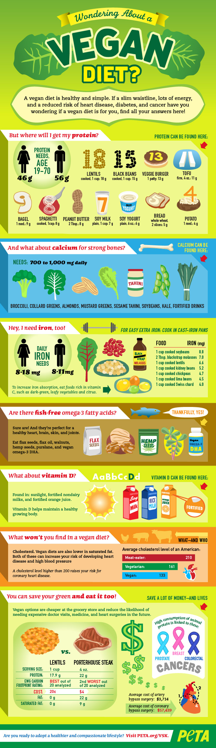 wondering-abt-vegan