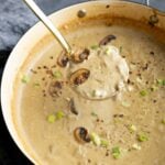 close-up of a ladle serving vegan cream of mushroom soup