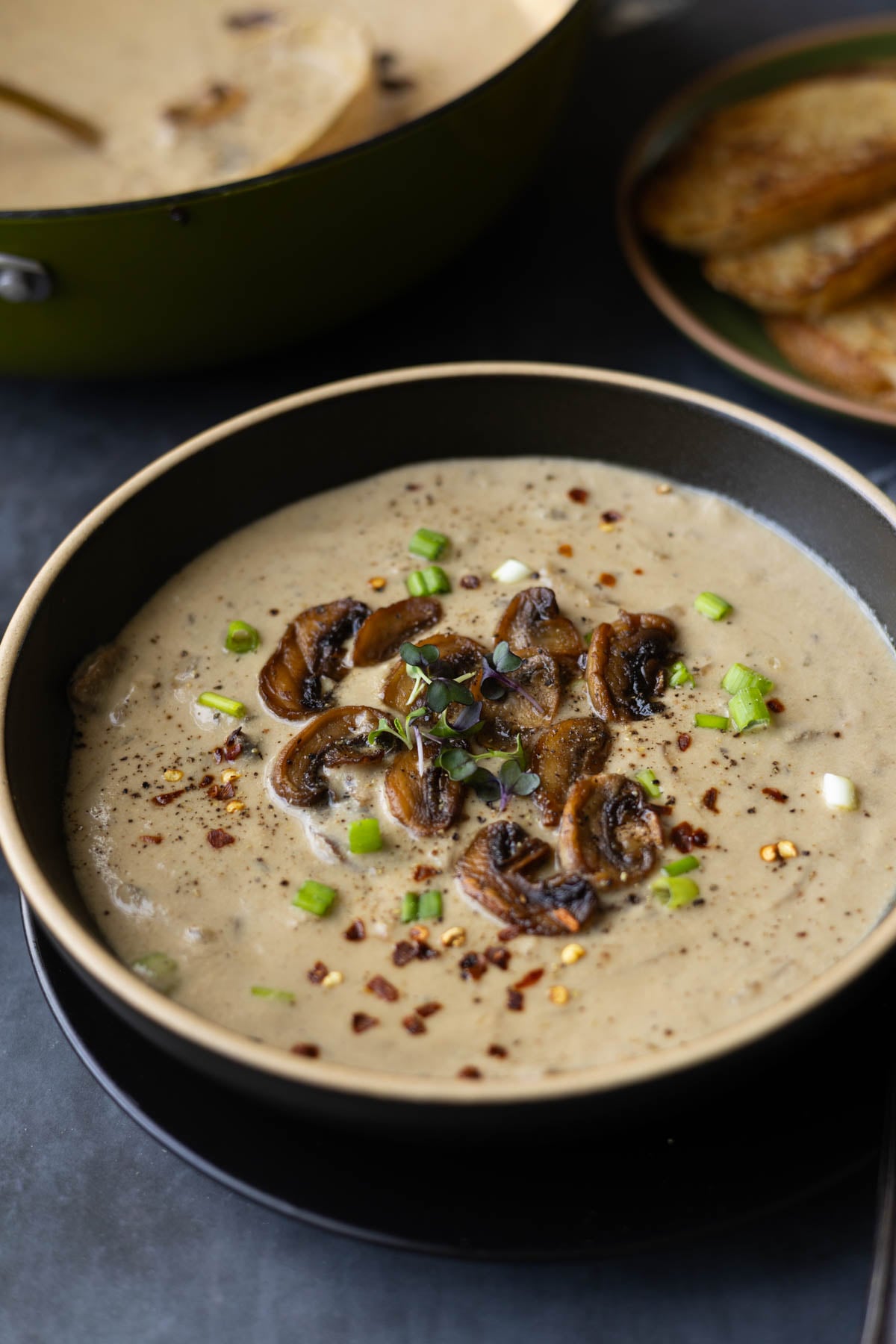 bowl of cream of mushroom soup