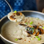 close-up of a bite of cream of mushroom soup