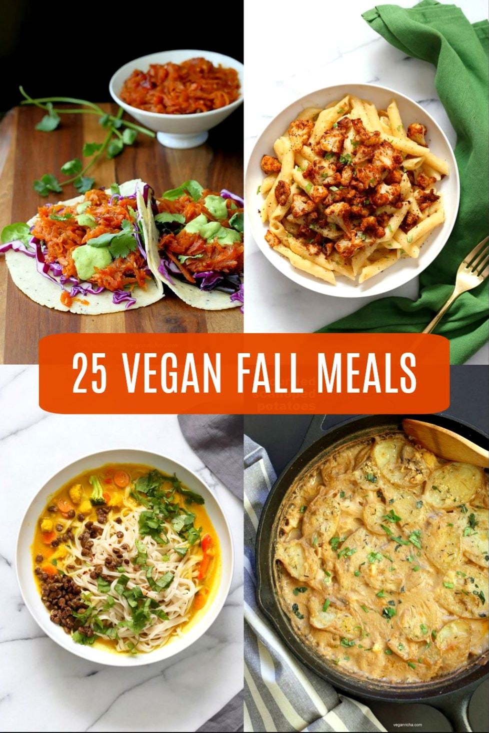 25 Vegan Fall Meals for a chilly day! Casseroles, chilis, gratins, pot pies, soups, and curries. Many are 1 Pot meals. Vegan Fall Recipes. Gluten-free Soy-free options. #veganricha 
