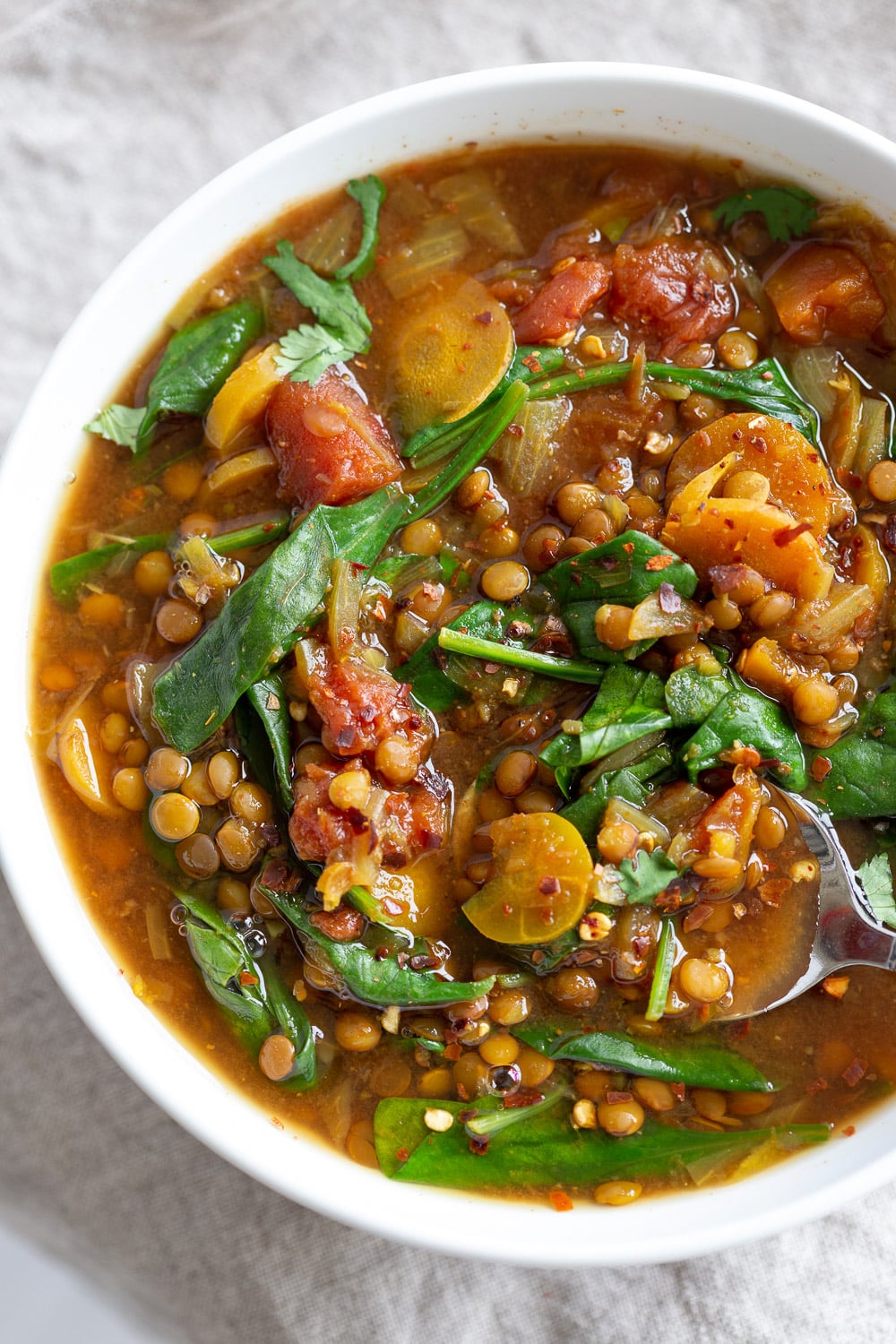 1 Potย Vegan Lentil Soup made in Instant Pot or Saucepan. This Easy Lentil Vegetable Soup is warming, comforting and so filling. Freezer friendly, #Glutenfree, #Soyfree, #Nutfree #Recipe #vegan #lentilsoup #veganrichaย | VeganRicha.com