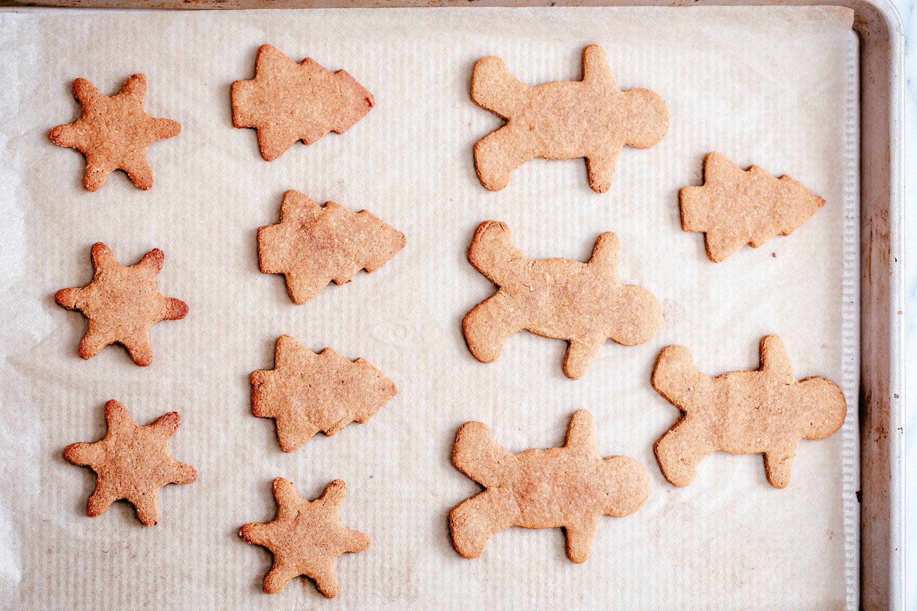 vegan gingerbread cookies baked vegan gingerbread cookies on a cookie sheet